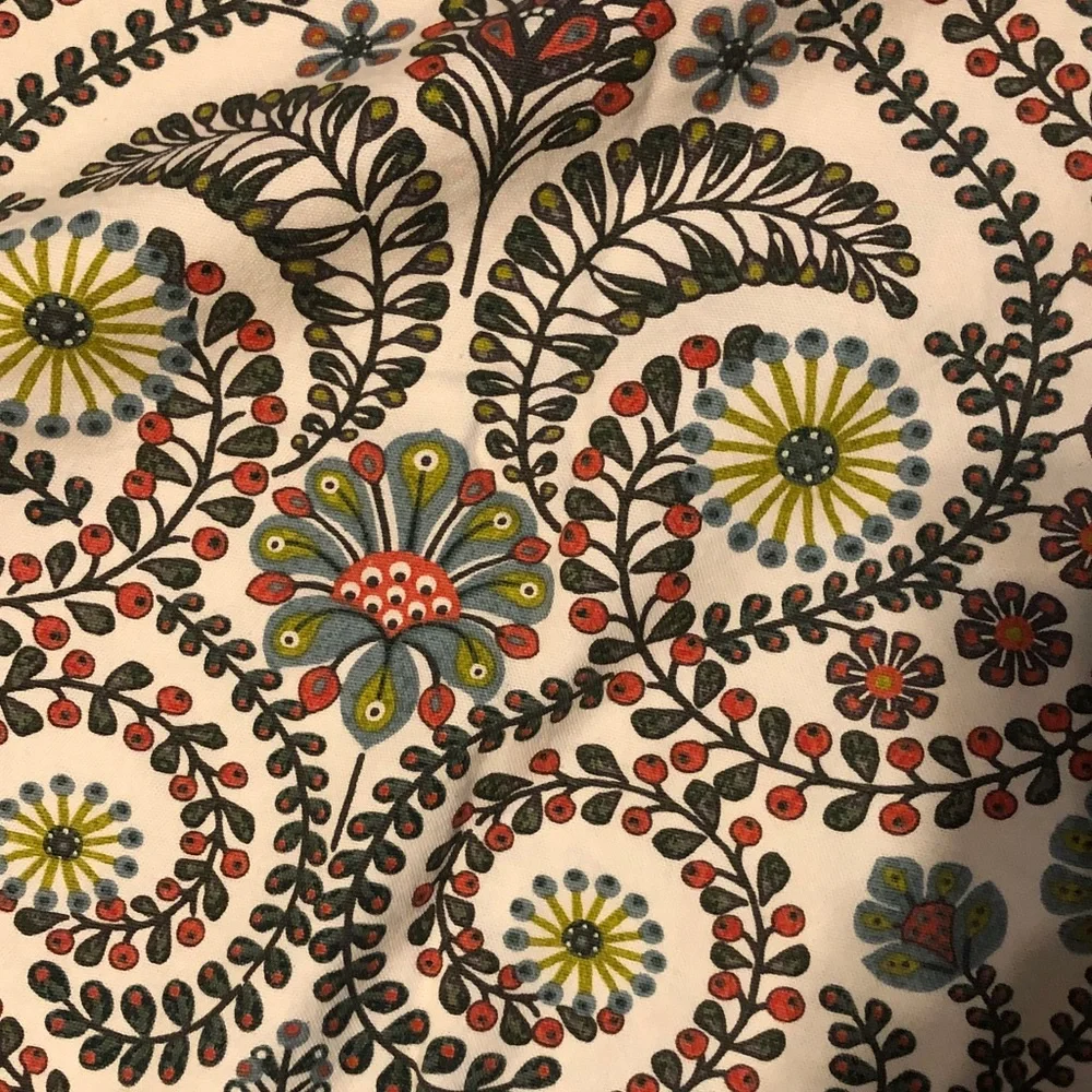 Cost Plus World Market Cream Curtain Panel with Multicolor Floral Scroll Pattern